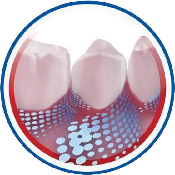 Teeth and gums covered by a protective film